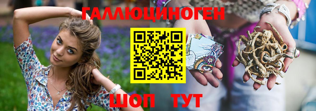 Галлюциногенные грибы Psilocybine cubensis Десногорск
